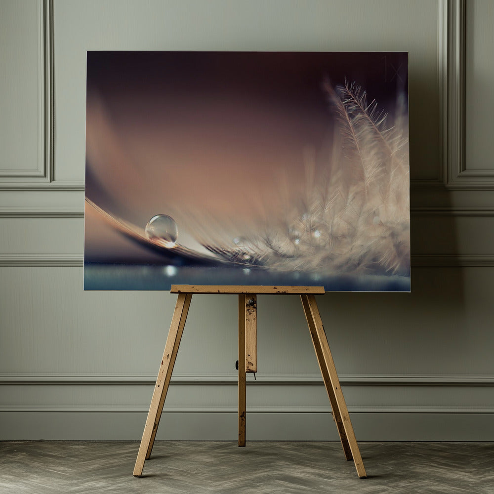 Stories of Drops - Poster / Art Print - interiör