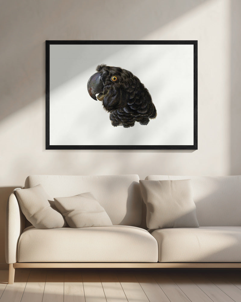 Cockatoo - Poster / Art Print - interiör