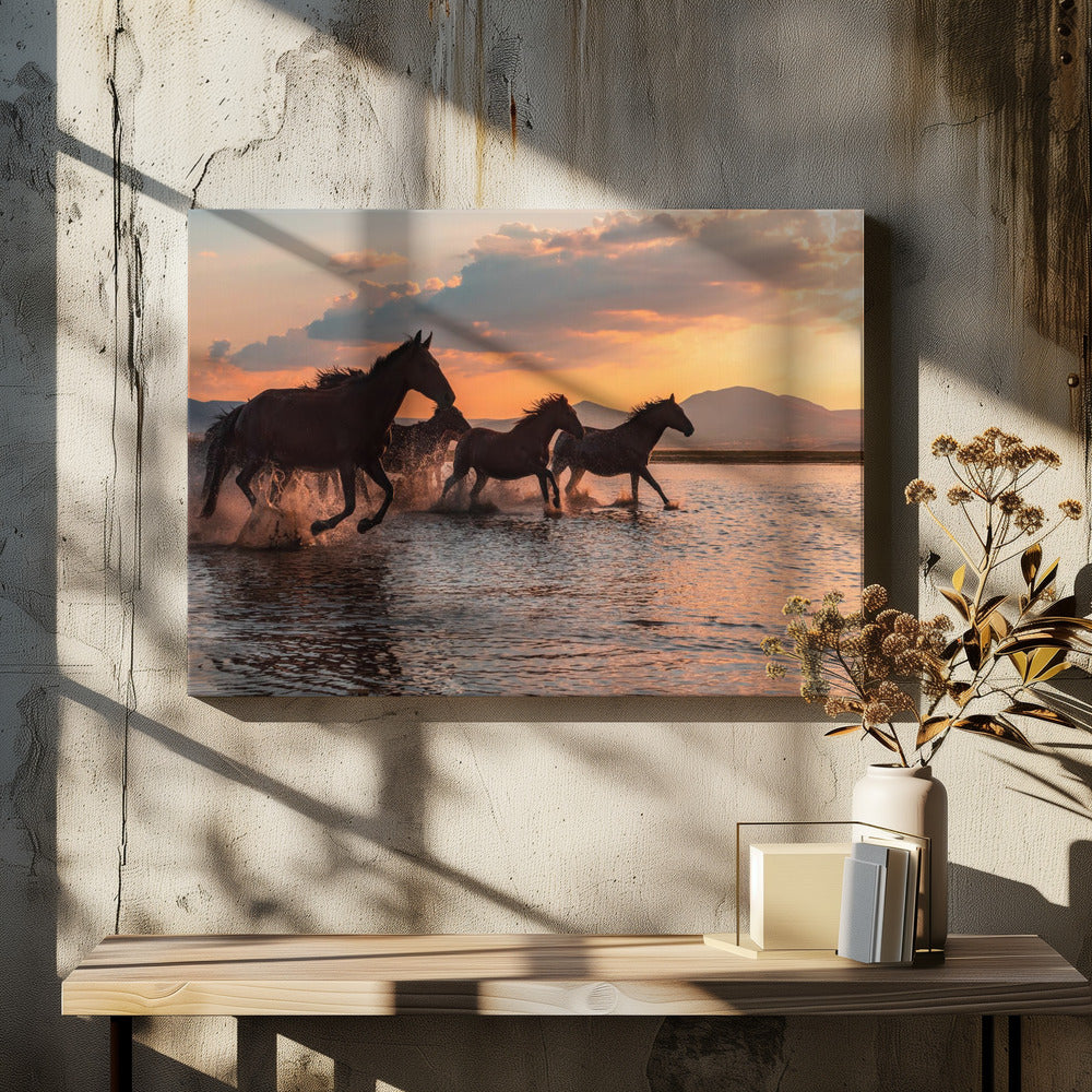 WATER HORSES - Poster / Art Print - interiör