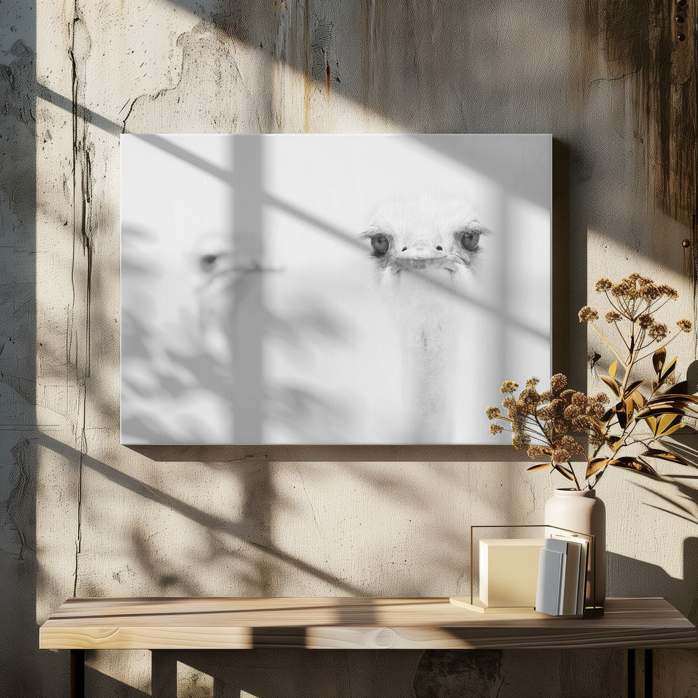 Funny ostrich - Poster / Art Print - interiör