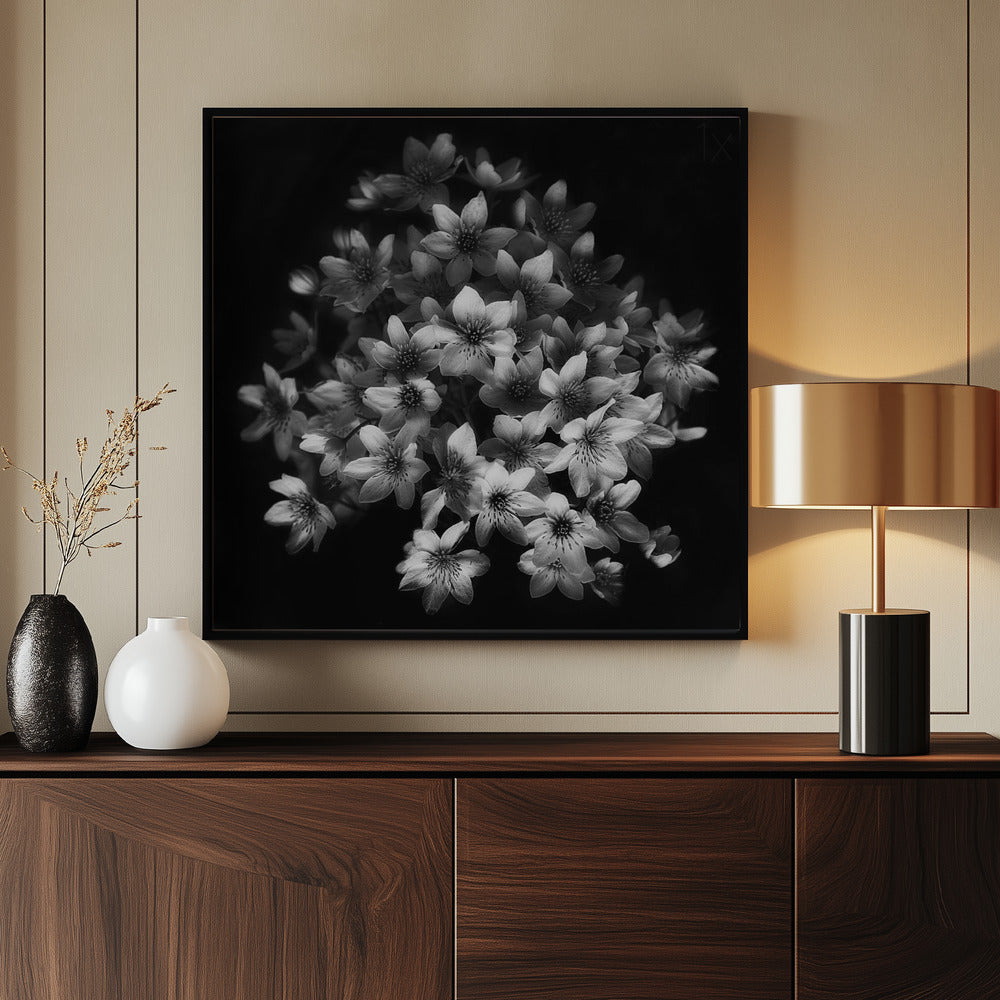Early Sensation - Poster / Art Print - interiör