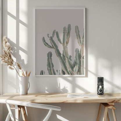 Sunrise Cactus - Poster / Art Print - interiör