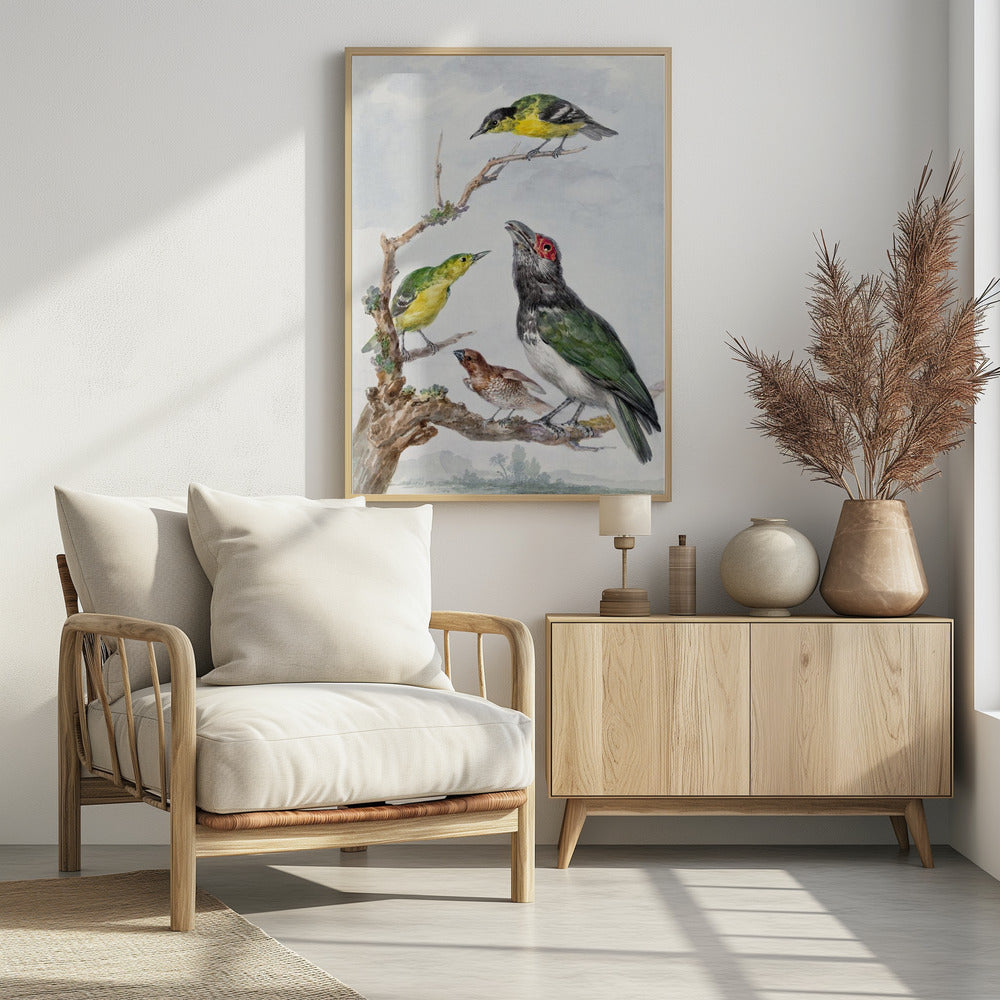 Four Different Birds On a Branch - Poster / Art Print - interiör