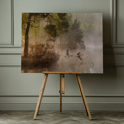 Goose fight - Poster / Art Print - interiör
