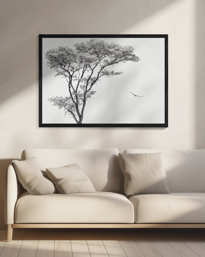 the African eagle - Poster / Art Print - interiör