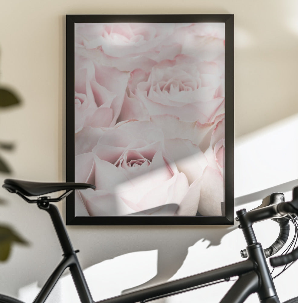 Pink Roses 05 - Poster / Art Print - interiör
