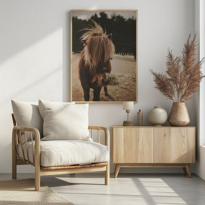 Small Horse - Poster / Art Print - interiör