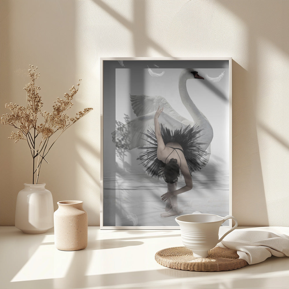 Swan Lake - Poster / Art Print - interiör