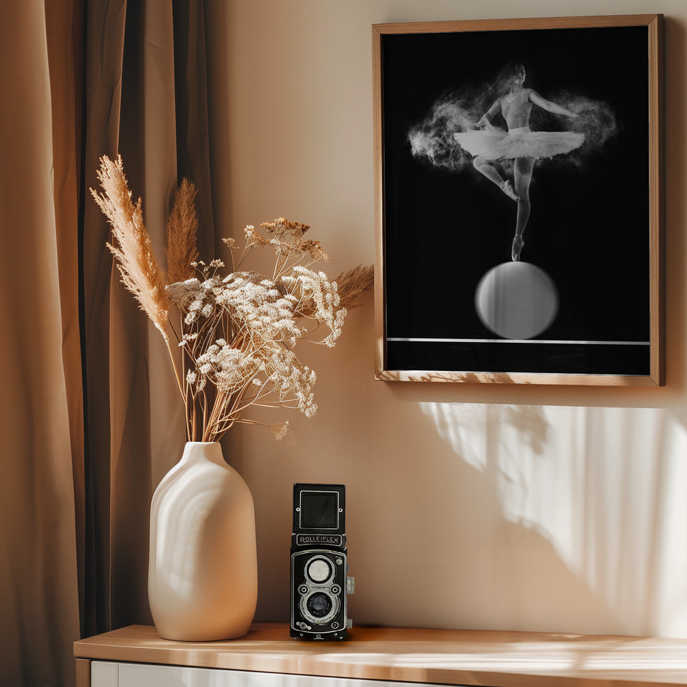 Spin with Ball - Poster / Art Print - interiör
