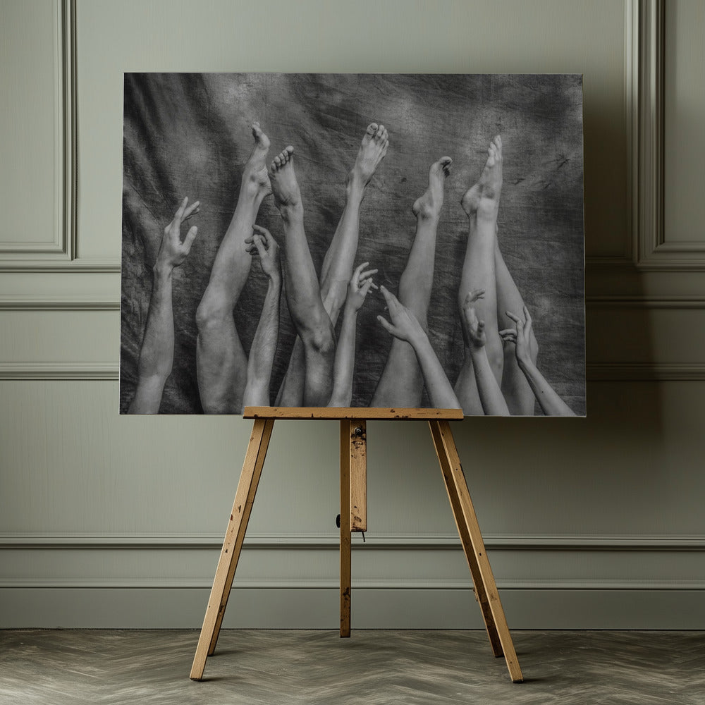 An Elegant Chaos. - Poster / Art Print - interiör