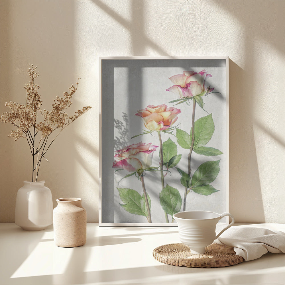 Roses - Poster / Art Print - interiör