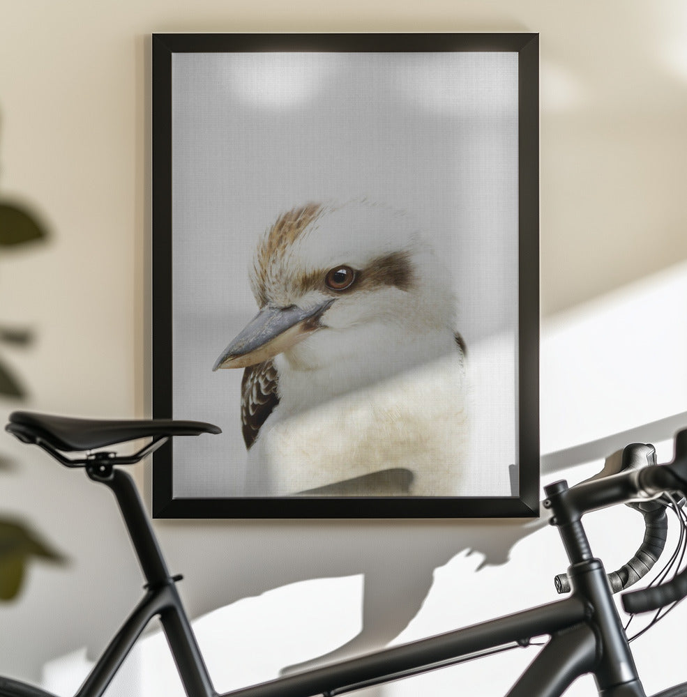Peekaboo Kookaburra - Poster / Art Print - interiör