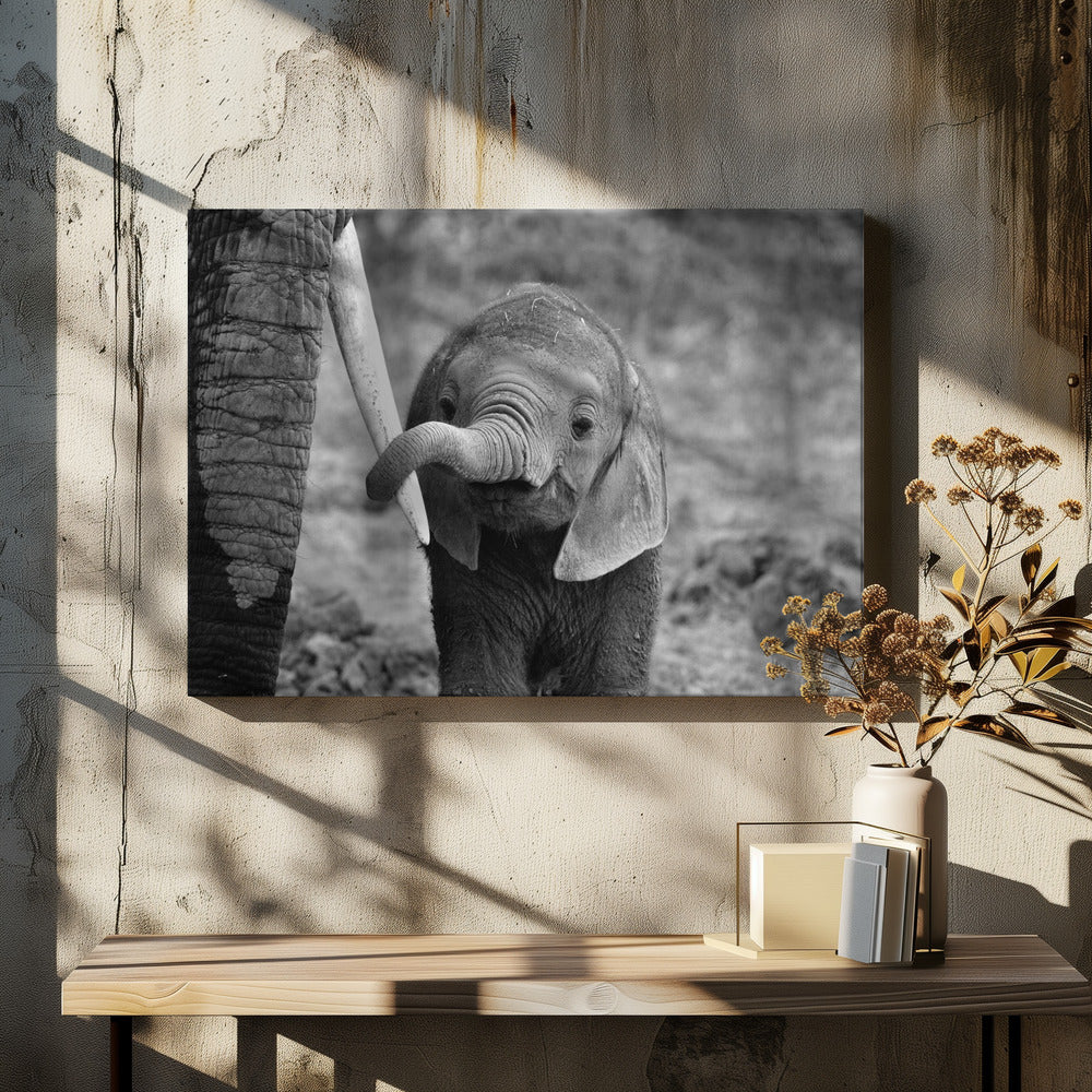 Close - Poster / Art Print - interiör