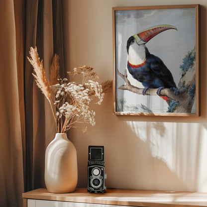 Red Billed Toucan - Poster / Art Print - interiör