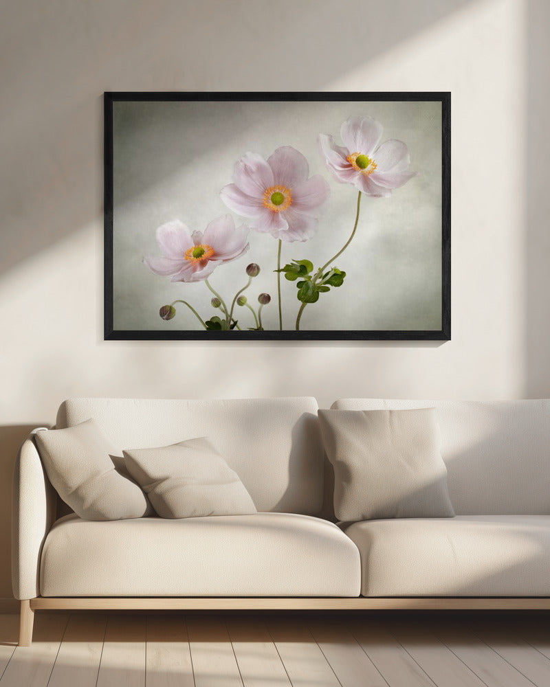 Anemones - Poster / Art Print - interiör
