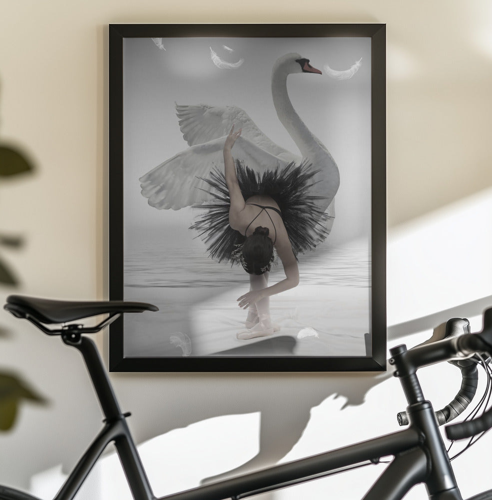 Swan Lake - Poster / Art Print - interiör