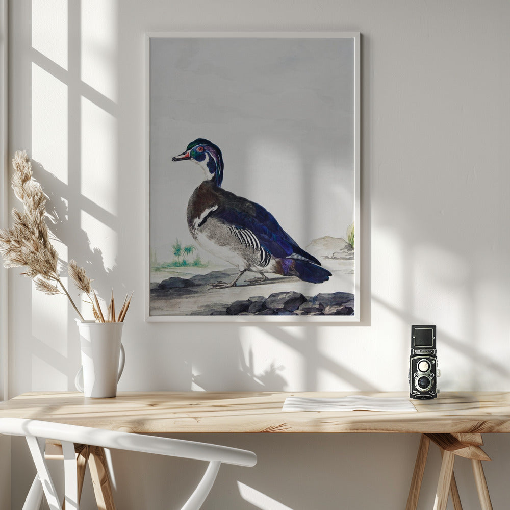 A Duck - Poster / Art Print - interiör