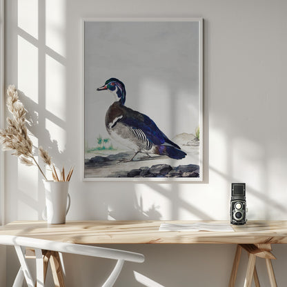 A Duck - Poster / Art Print - interiör