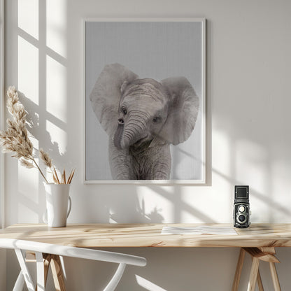 Peekaboo Baby Elephant - Poster / Art Print - interiör