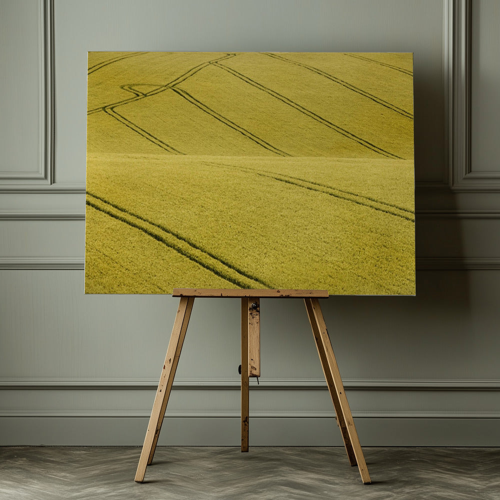 Field #2 - Poster / Art Print - interiör