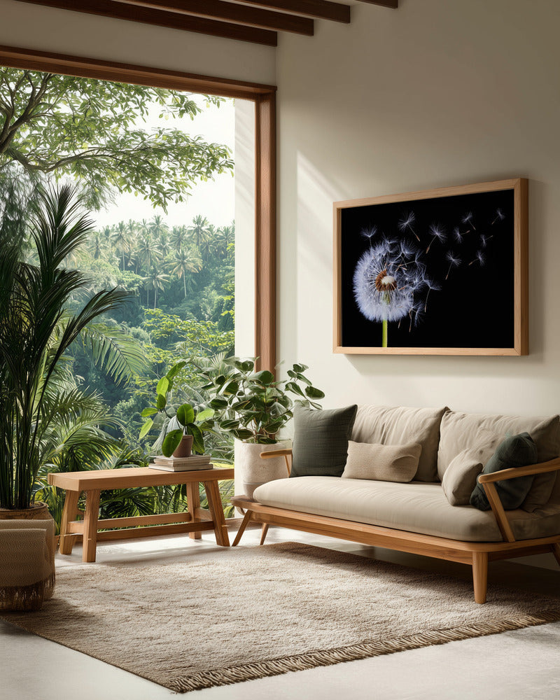 Dandelion Blowing - Poster / Art Print - interiör