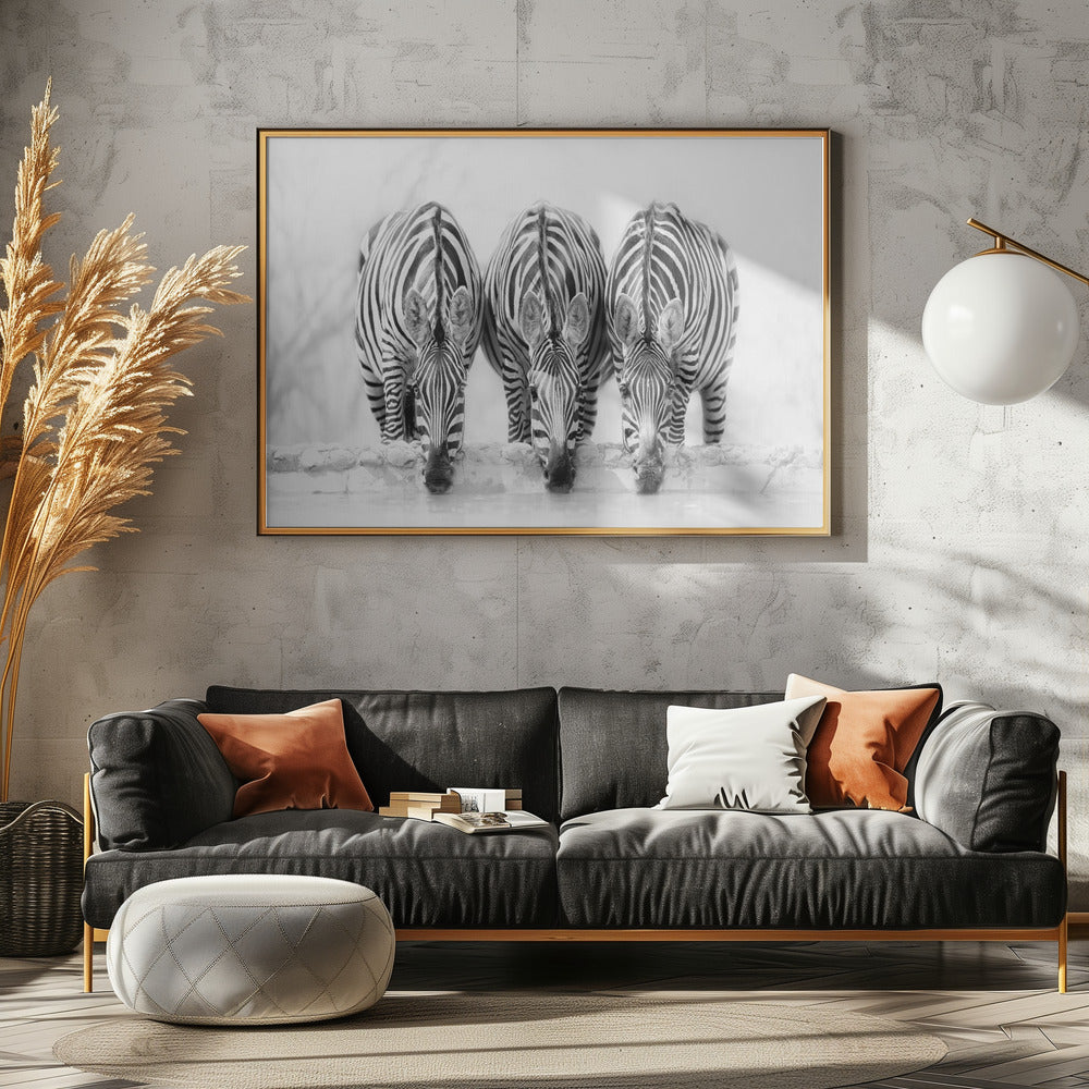Zebras - Poster / Art Print - interiör