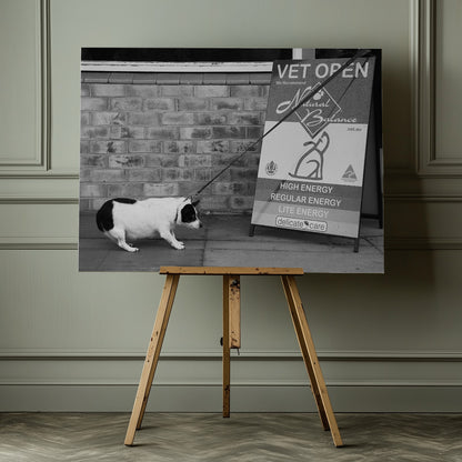 No, no.....definitely NO....! - Poster / Art Print - interiör