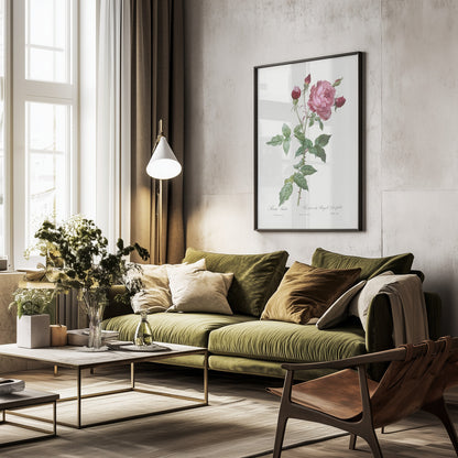 Provence Rose, Les Roses (1817–1824) - Poster / Art Print - interiör