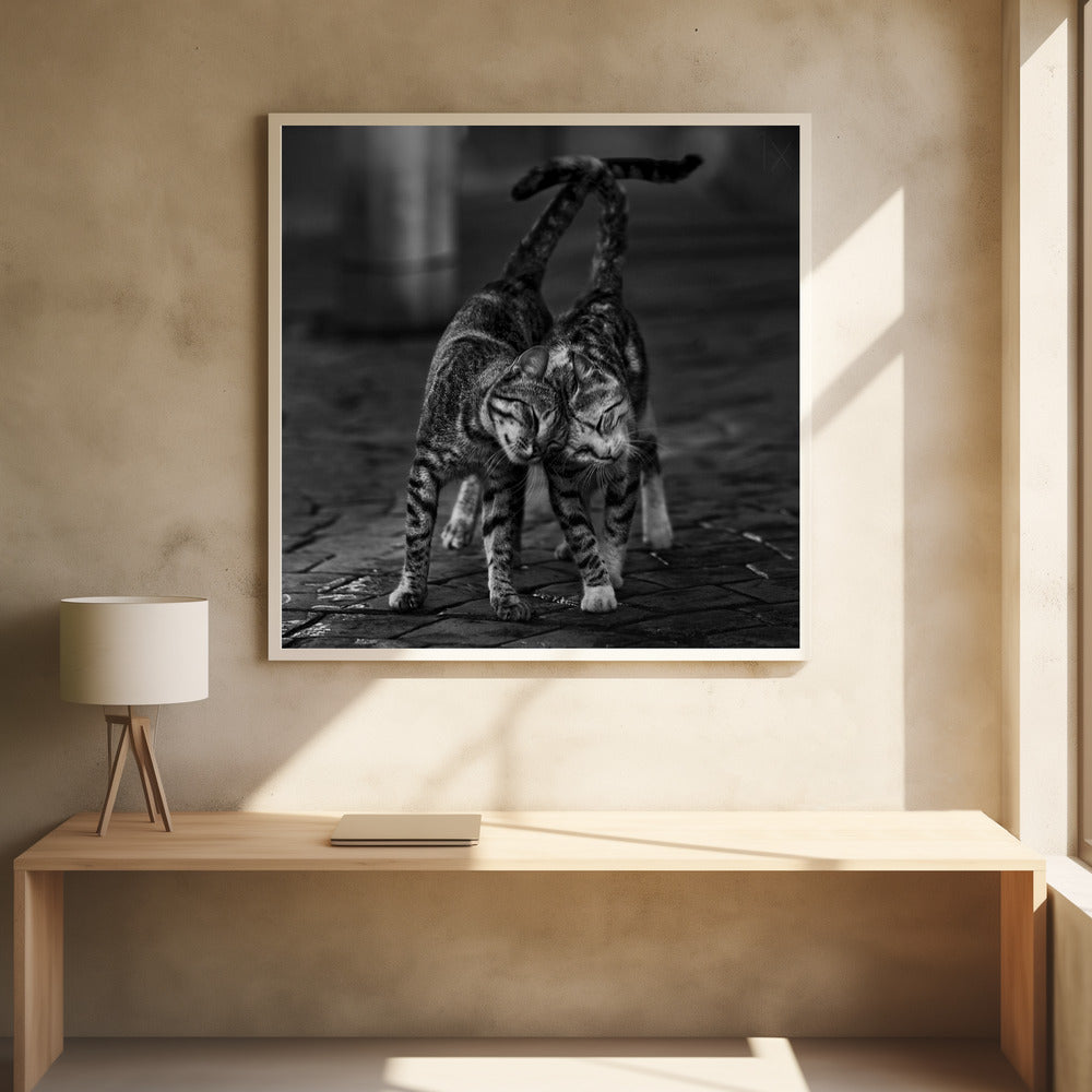 Two cats - Poster / Art Print - interiör
