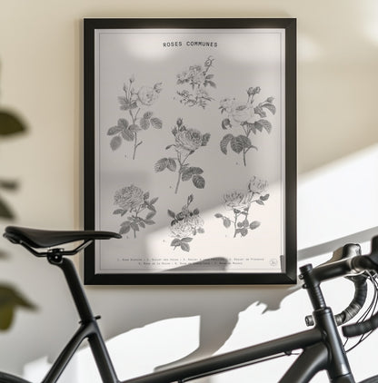 Roses - Poster / Art Print - interiör