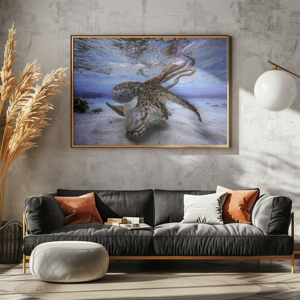 Dancing Octopus - Poster / Art Print - interiör