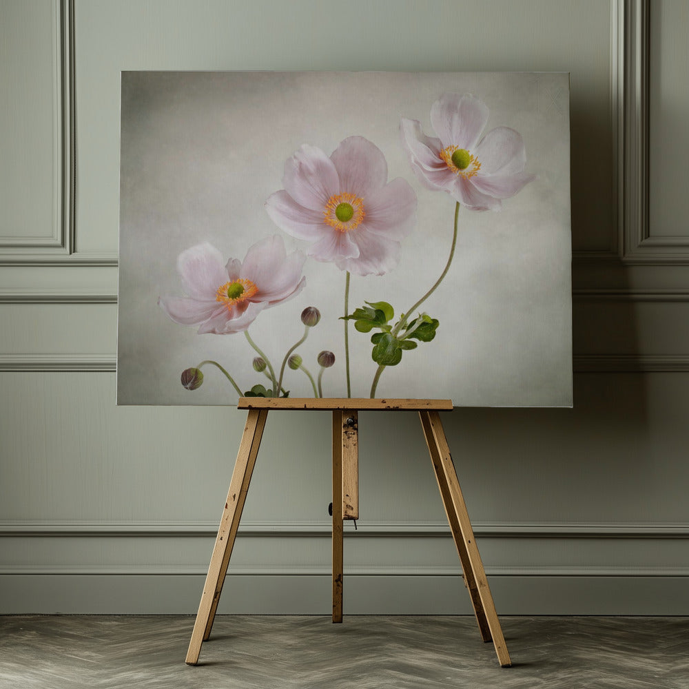 Anemones - Poster / Art Print - interiör