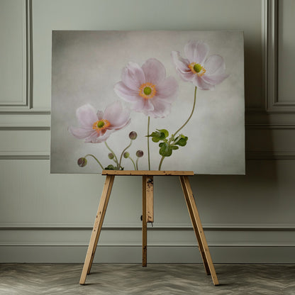 Anemones - Poster / Art Print - interiör