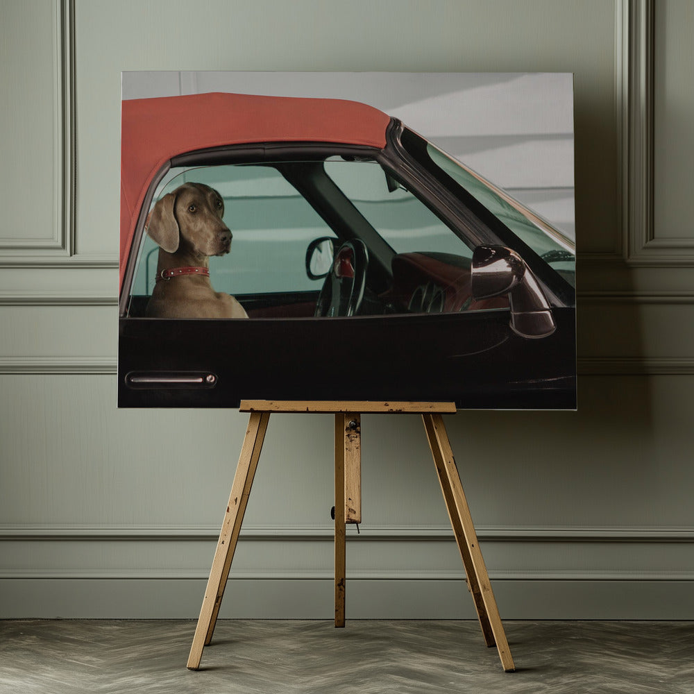 lady - Poster / Art Print - interiör