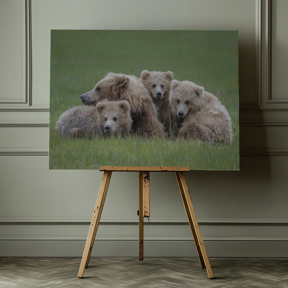 Bear Huddle - Poster / Art Print - interiör