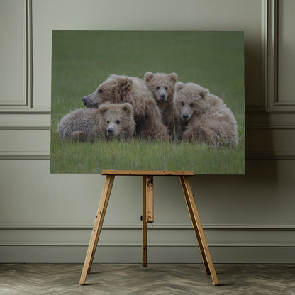 Bear Huddle - Poster / Art Print - interiör