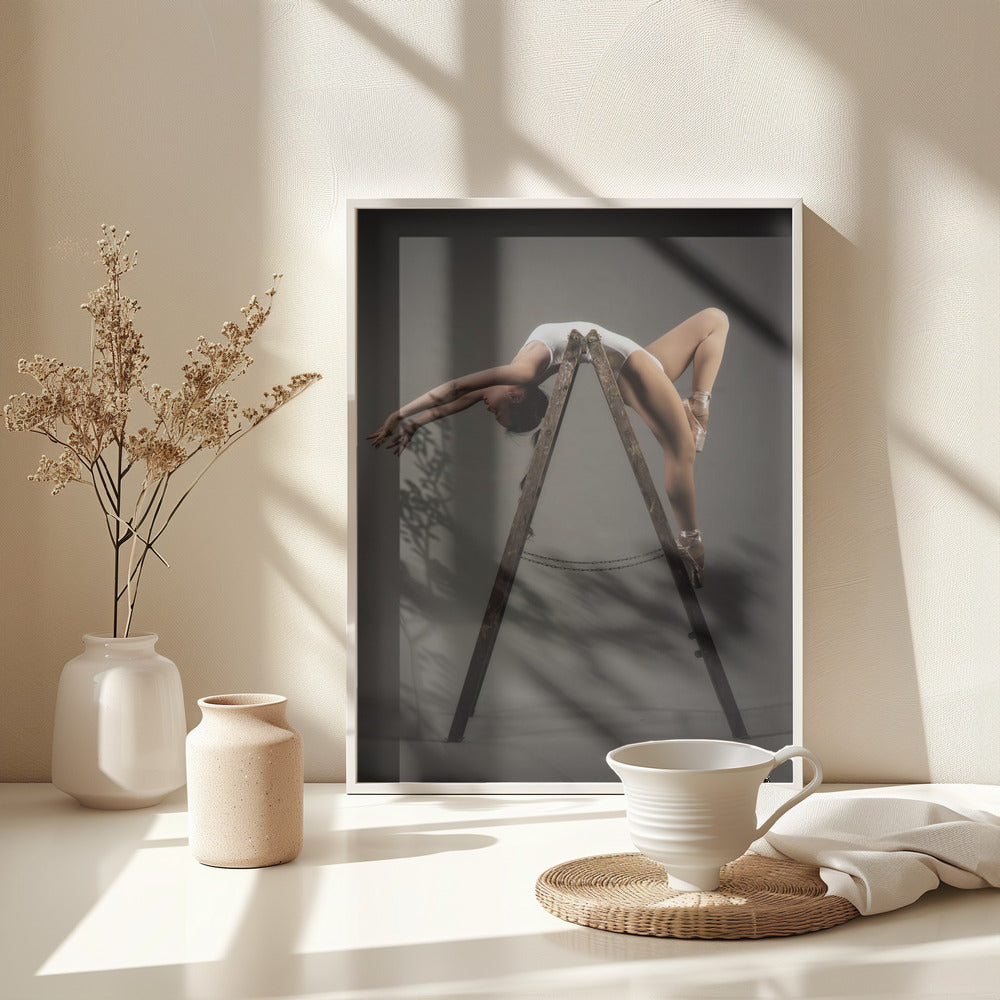 how to use a ladder - Poster / Art Print - interiör