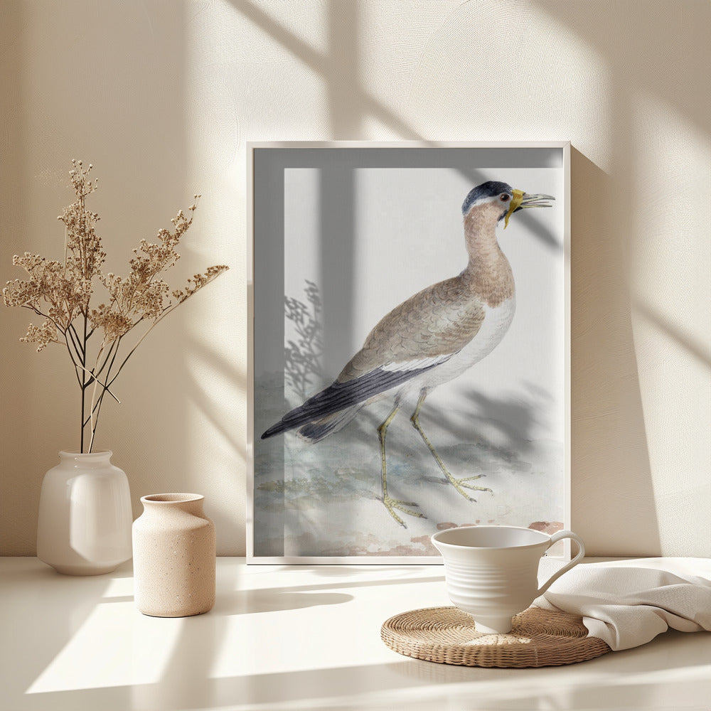 A Yellow Wattled Lapwing - Poster / Art Print - interiör