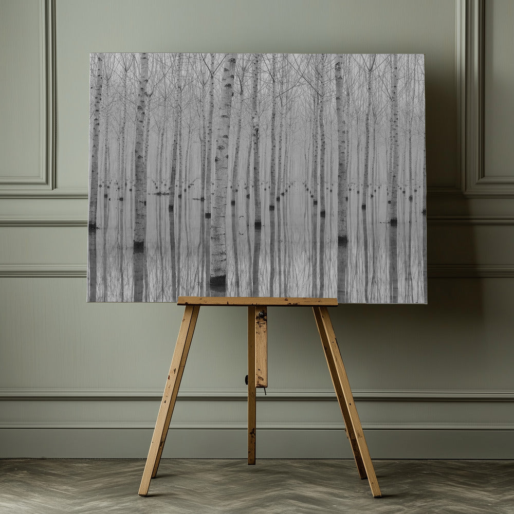 Novembre 2014 - Poster / Art Print - interiör
