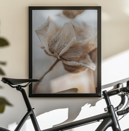 Dry flower detail No 3 - Poster / Art Print - interiör