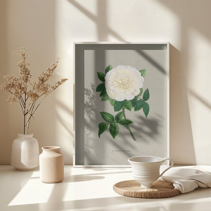 Rose Marie De Saint Jean - Poster / Art Print - interiör