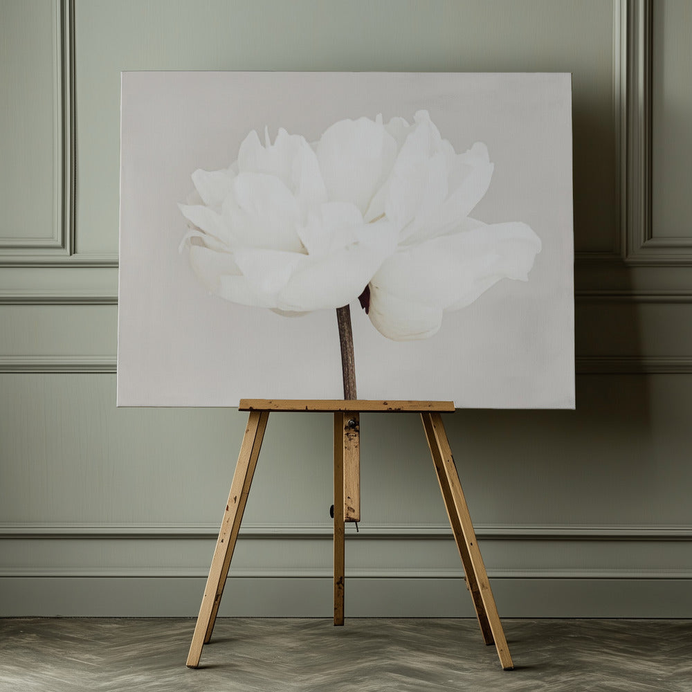 Peony 11 - Poster / Art Print - interiör