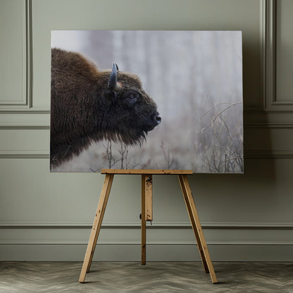 Bison's profile - Poster / Art Print - interiör