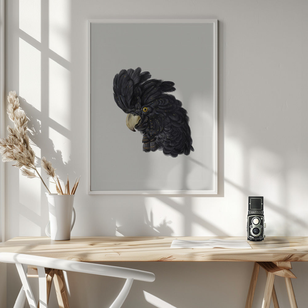 Head of a Cockatoo - Poster / Art Print - interiör