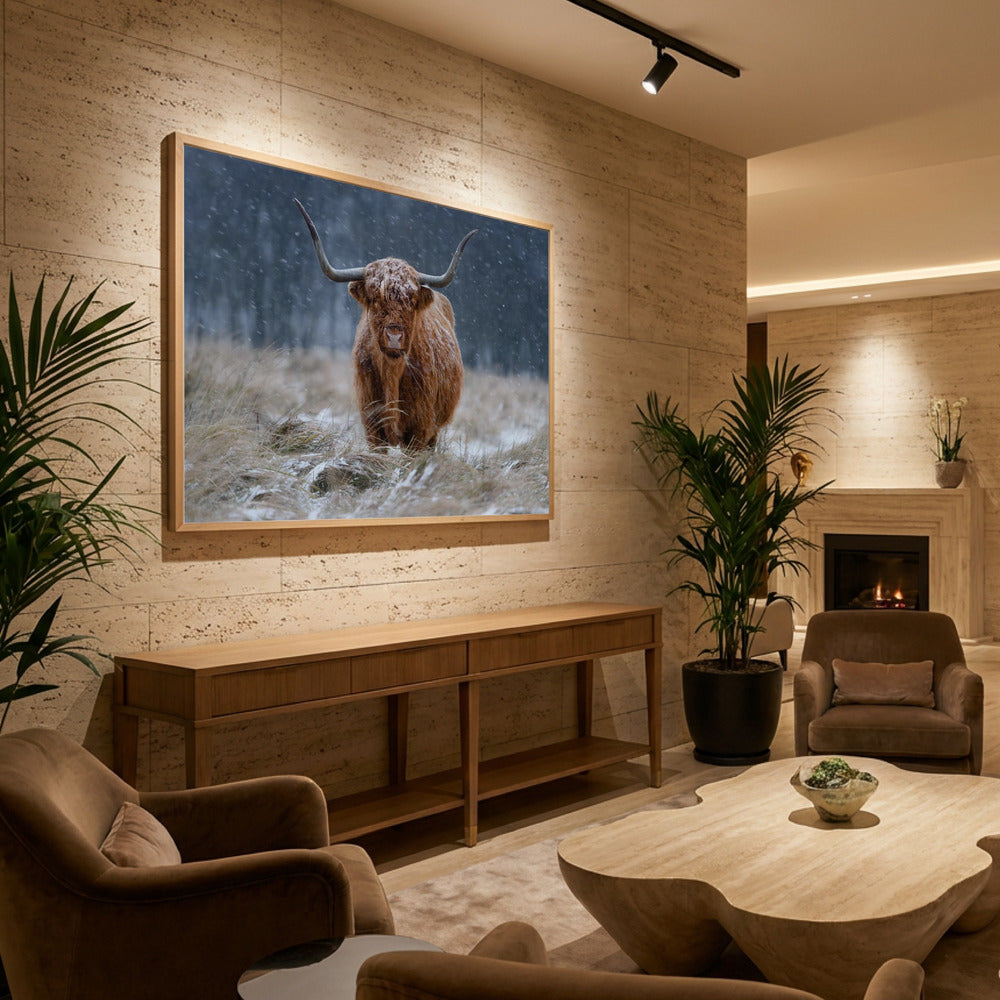 Snowy Highland cow - Poster / Art Print - interiör