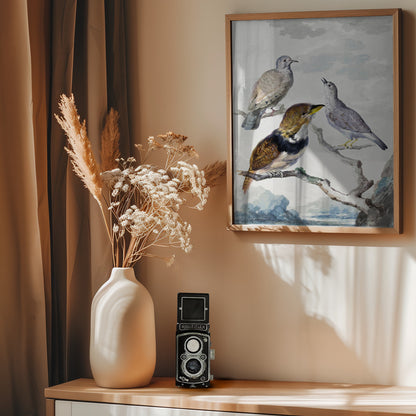 Three Birds, Two Inca Pigeons and a Collared Bearded Cuckoo - Poster / Art Print - interiör
