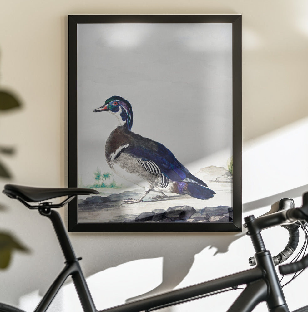 A Duck - Poster / Art Print - interiör