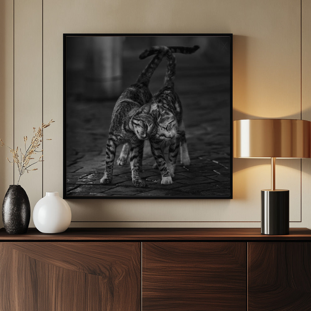 Two cats - Poster / Art Print - interiör