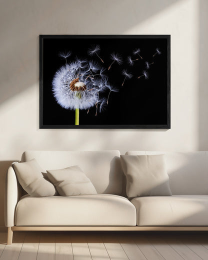 Dandelion Blowing - Poster / Art Print - interiör