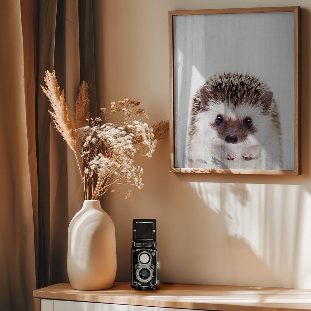 Peekaboo Hedgehog - Poster / Art Print - interiör